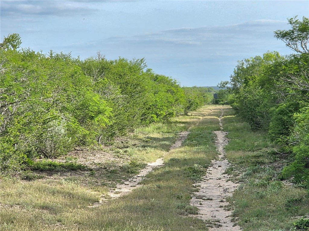 3073 Bravo 6 Property Photo 4