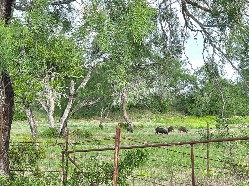 3073 Bravo 6 Property Photo 14