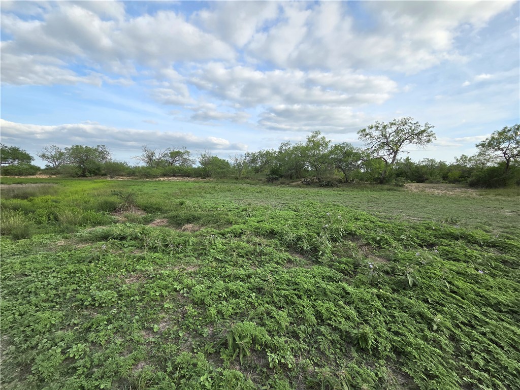 3073 Bravo 6 Property Photo 18