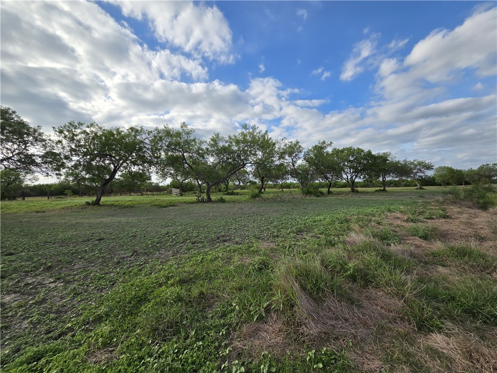 3073 Bravo 6 Property Photo 19