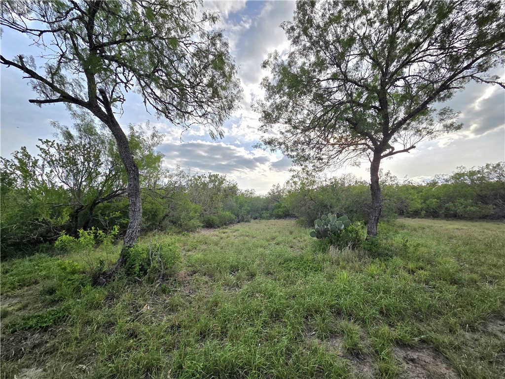 3073 Bravo 6 Property Photo 22