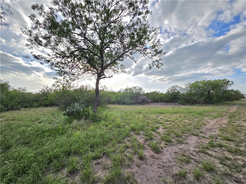3073 Bravo 6 Property Photo 24
