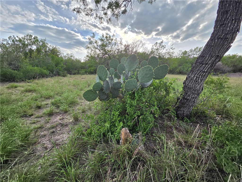 3073 Bravo 6 Property Photo 27