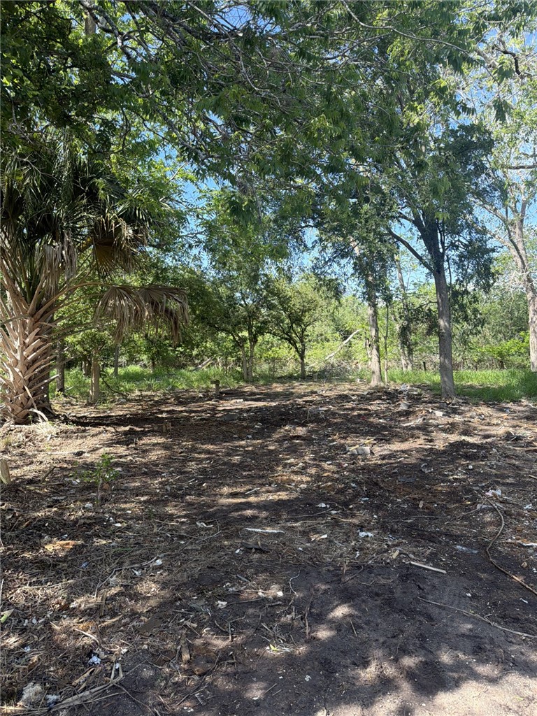 6141 Carrie Beth Property Photo 4
