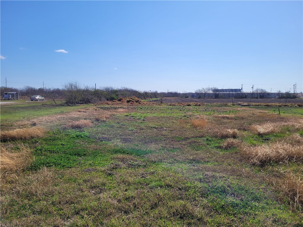 205 Polk St Property Photo 4