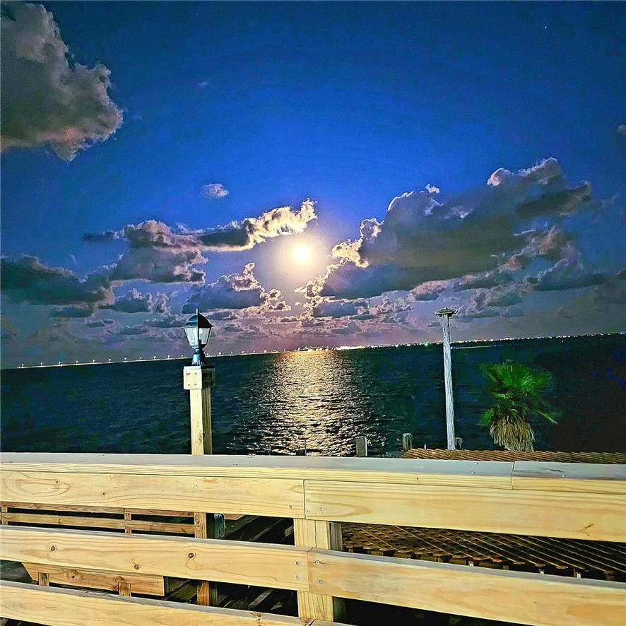 2445 Laguna Shores Property Photo 39