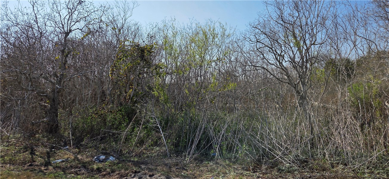 2515-b Monkey Road Property Photo 5