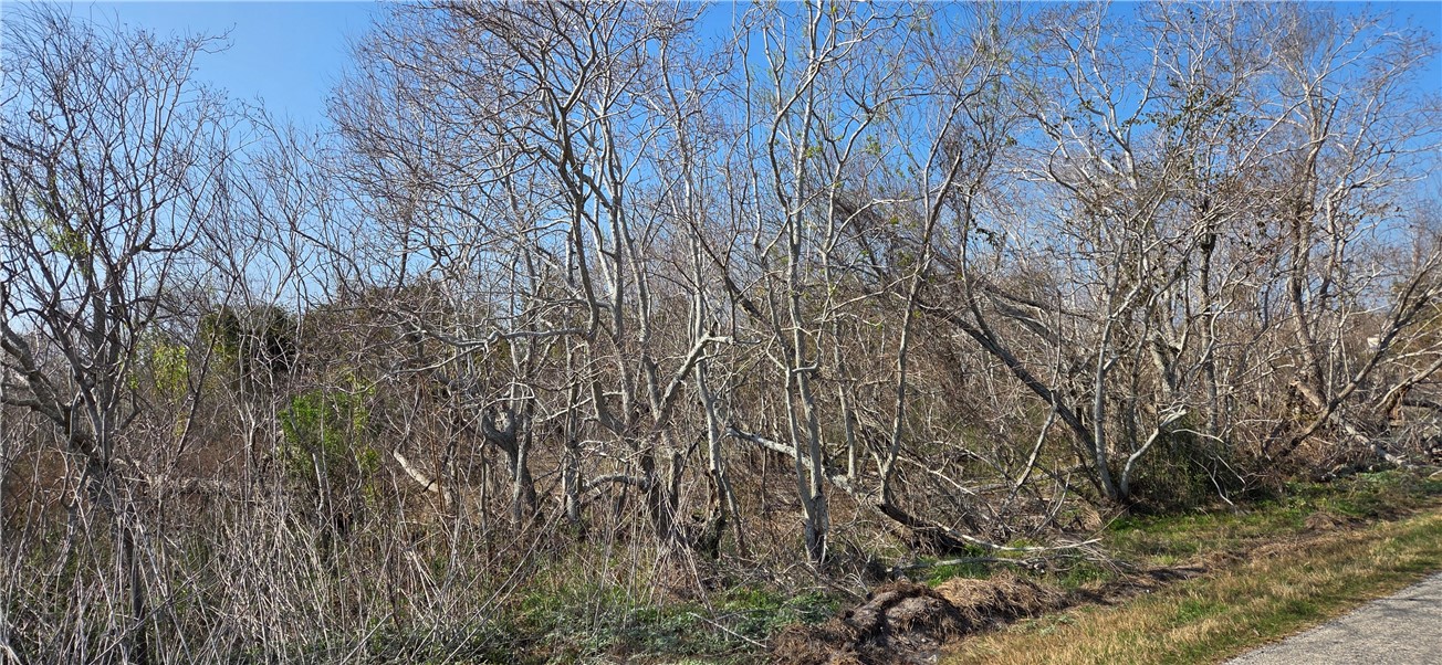 2515-b Monkey Road Property Photo 6
