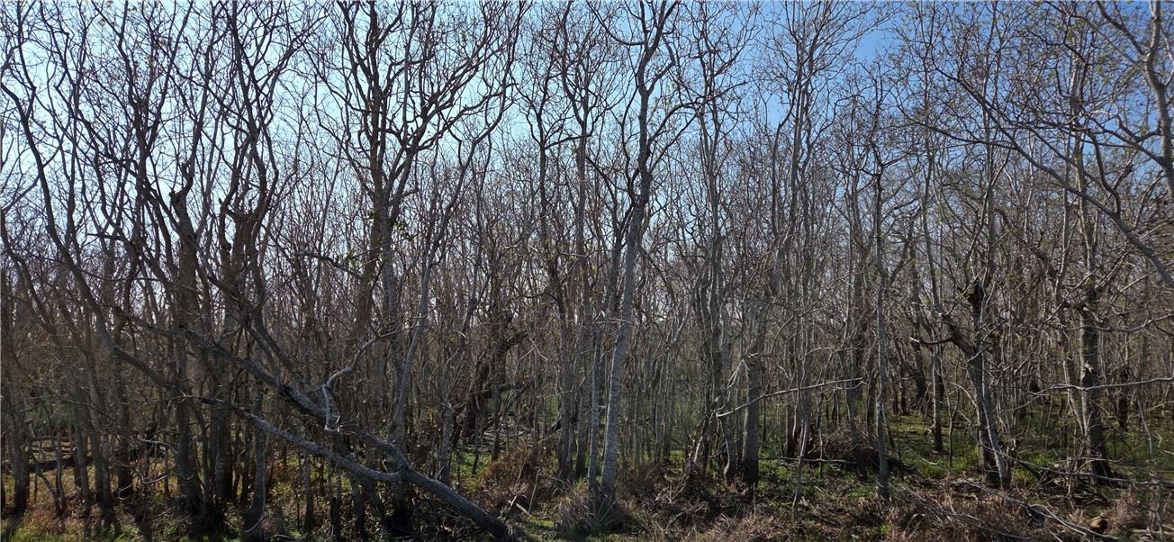2515-d Monkey Road Property Photo 1