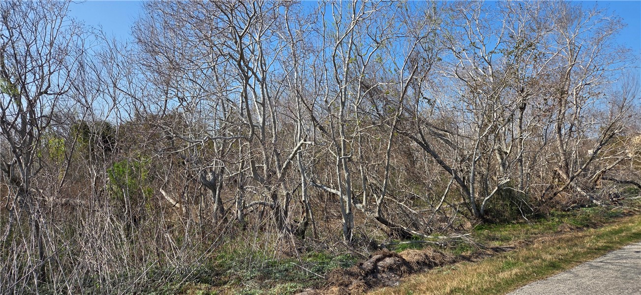 2515-d Monkey Road Property Photo 2