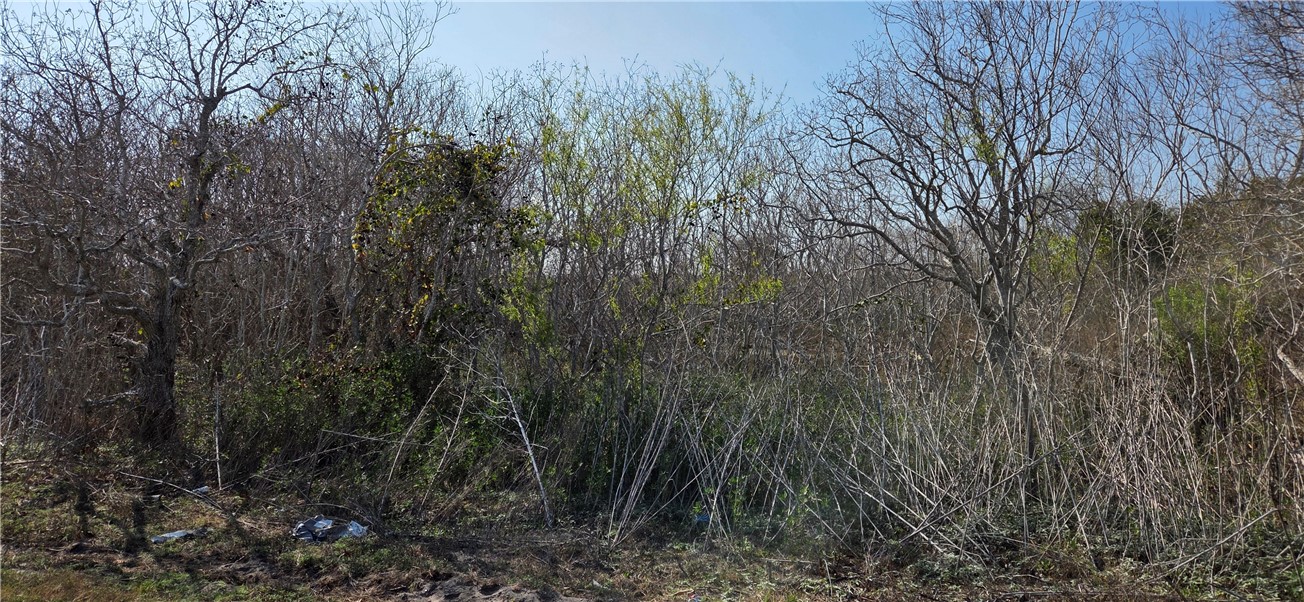 2515-d Monkey Road Property Photo 3