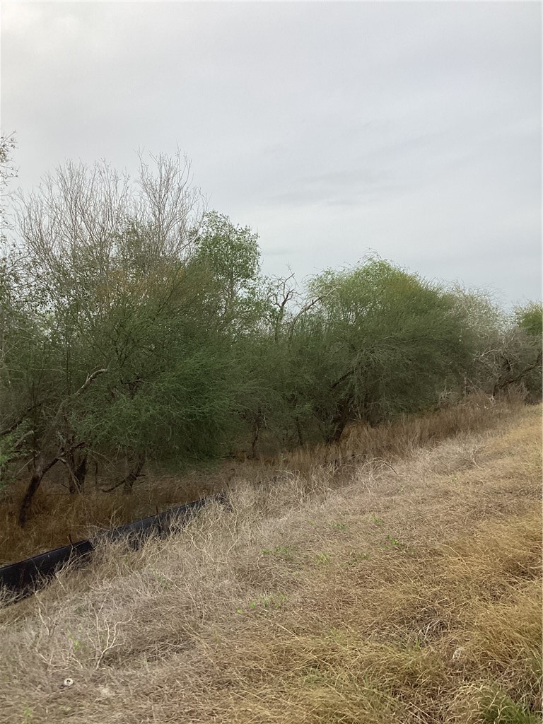 1 N Highway 281 Bypass Property Photo 1