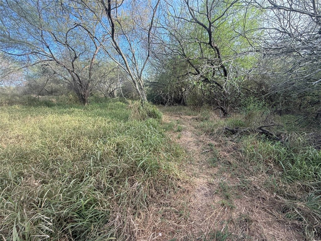 21310 Fm 508 Property Photo 7