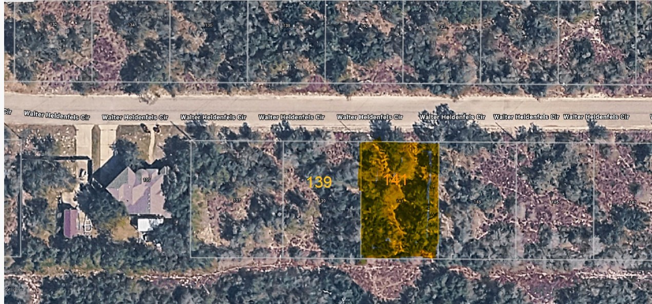 141 Walter Heldenfels Property Photo 1