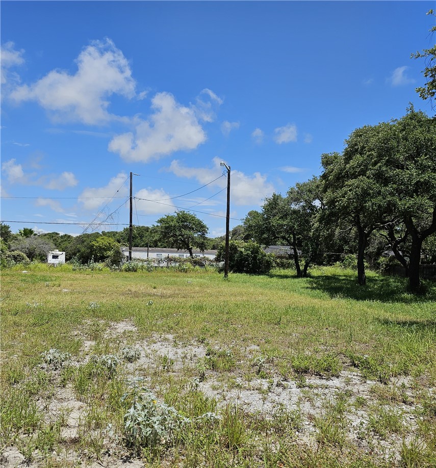 S 1/2 Lot 1 Hackberry St Property Photo 1