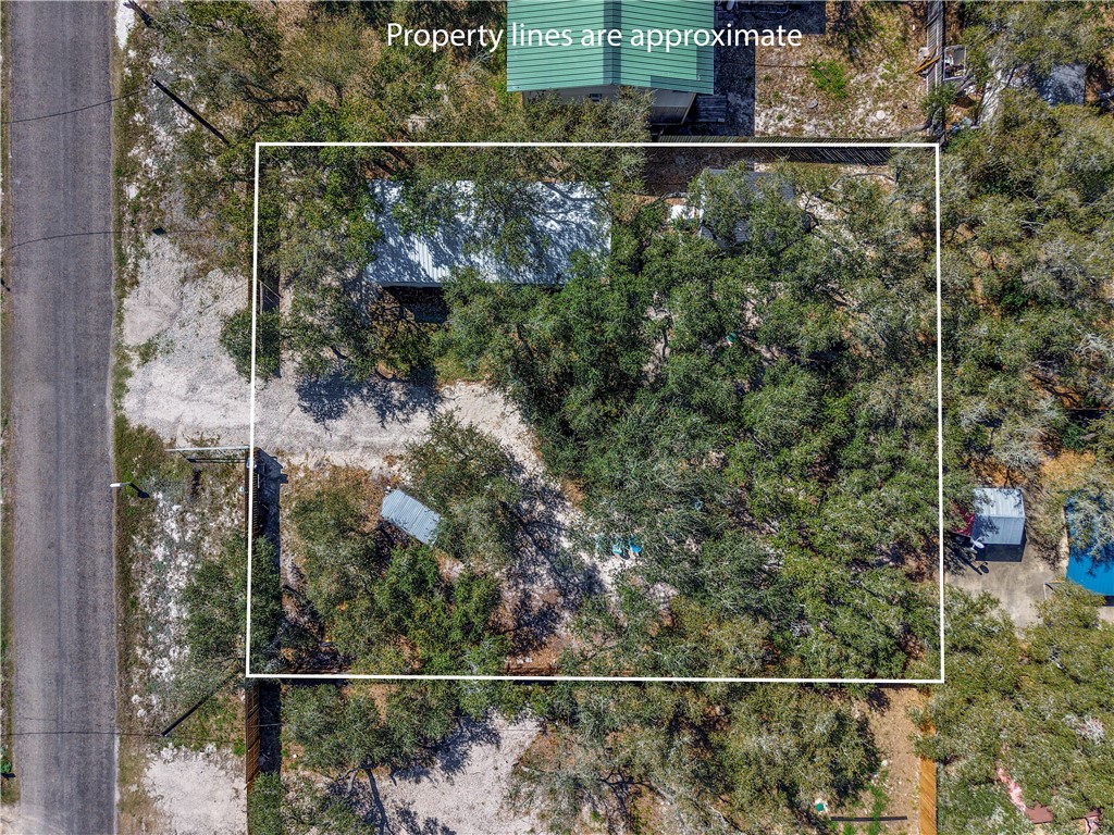 507 Steart St Property Photo 18