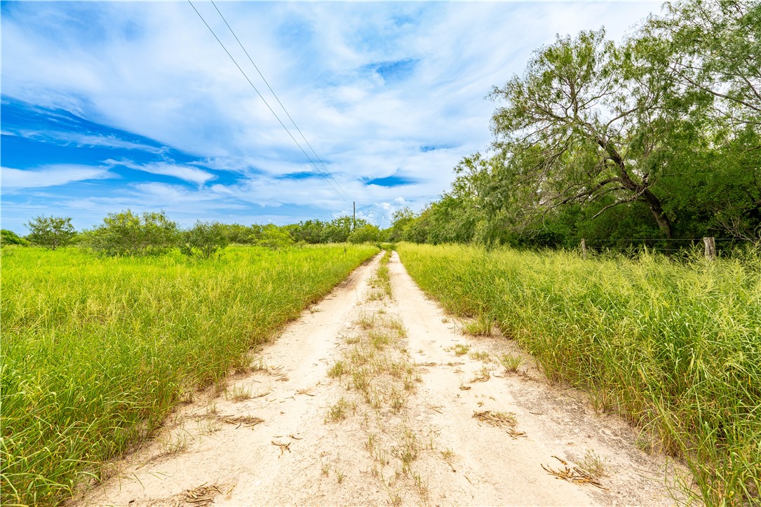 229 Fm 628 Property Photo 4
