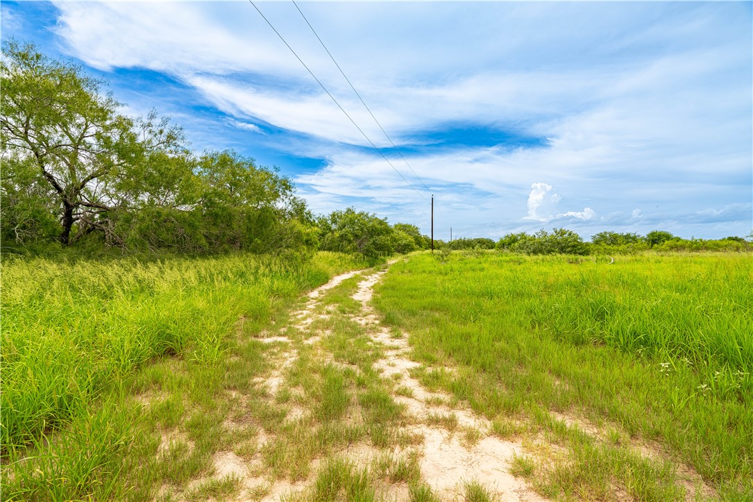 229 Fm 628 Property Photo 5