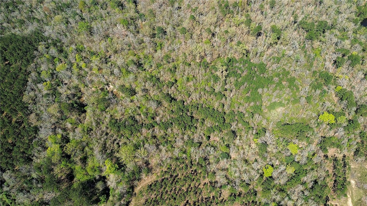 000 Fm 1012 Property Photo 3