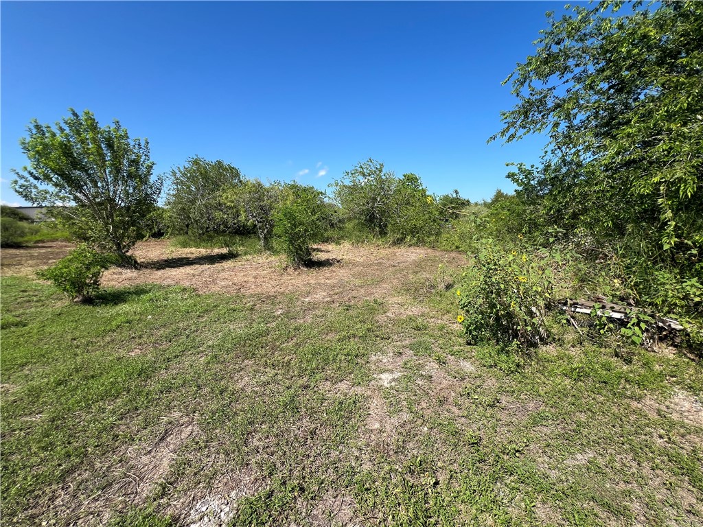 0 Lot 13 Mccullough (tiner) Property Photo 1