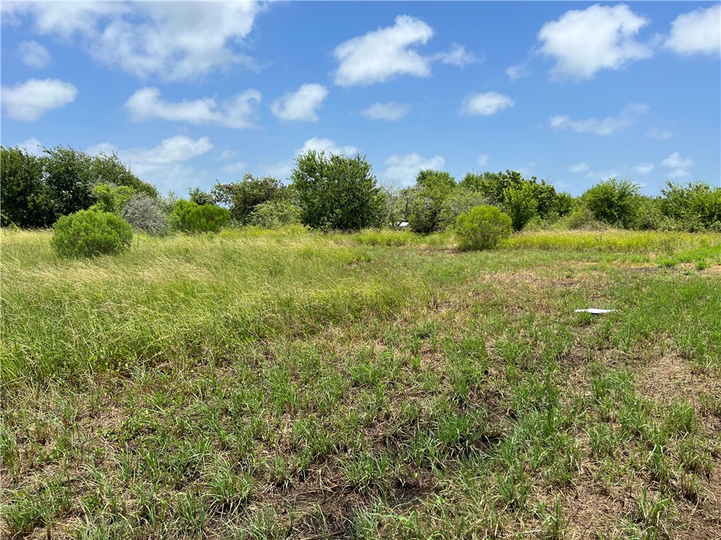 0 Lot 13 Mccullough (tiner) Property Photo 7