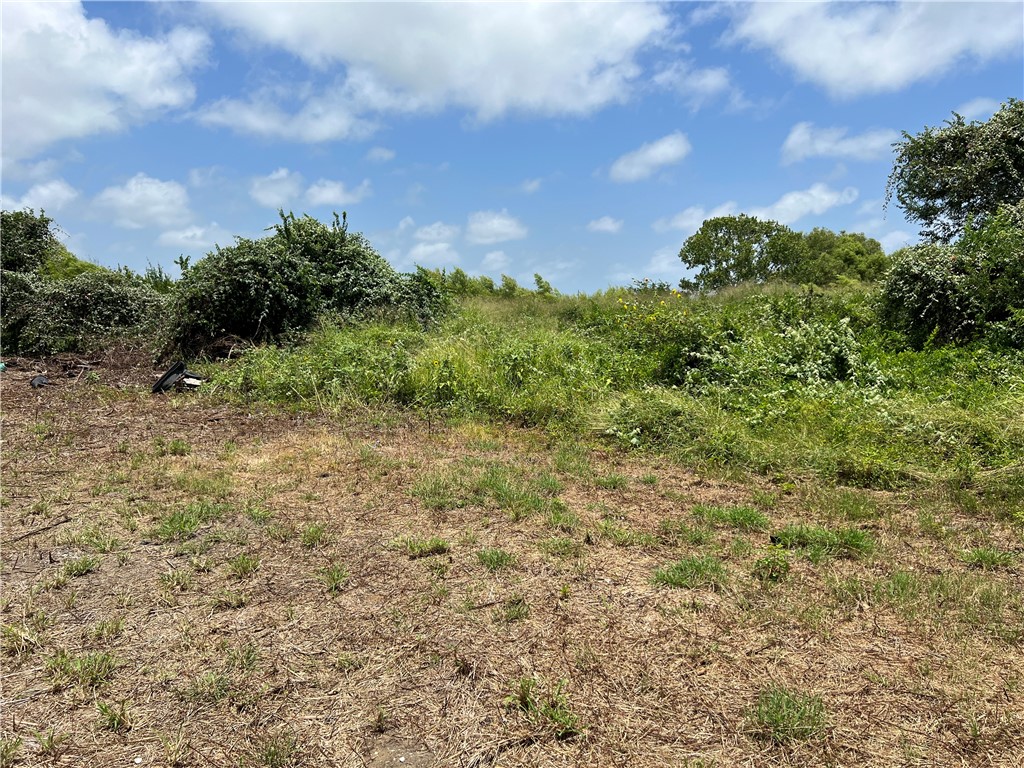 0 Lot 13 Mccullough (tiner) Property Photo 9