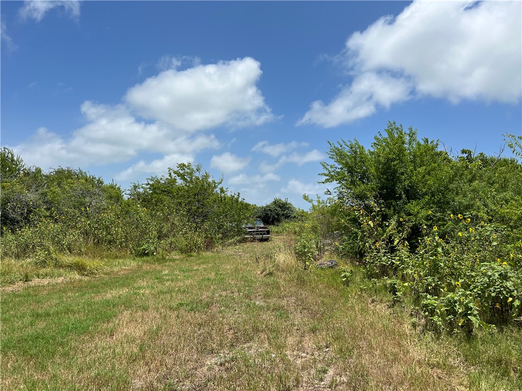 0 Lot 13 Mccullough (tiner) Property Photo 10