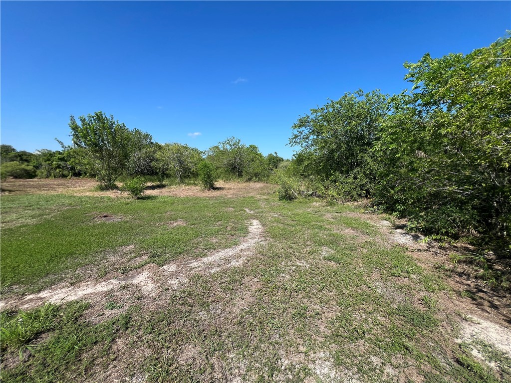 0 Lot 13 Mccullough (tiner) Property Photo 13