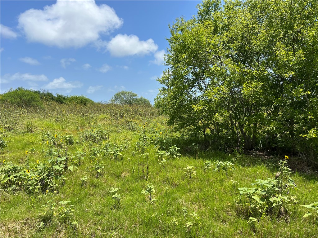 0 Lot 13 Mccullough (tiner) Property Photo 14