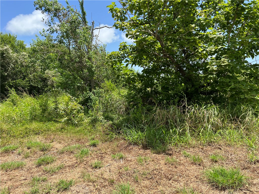 0 Lot 13 Mccullough (tiner) Property Photo 15