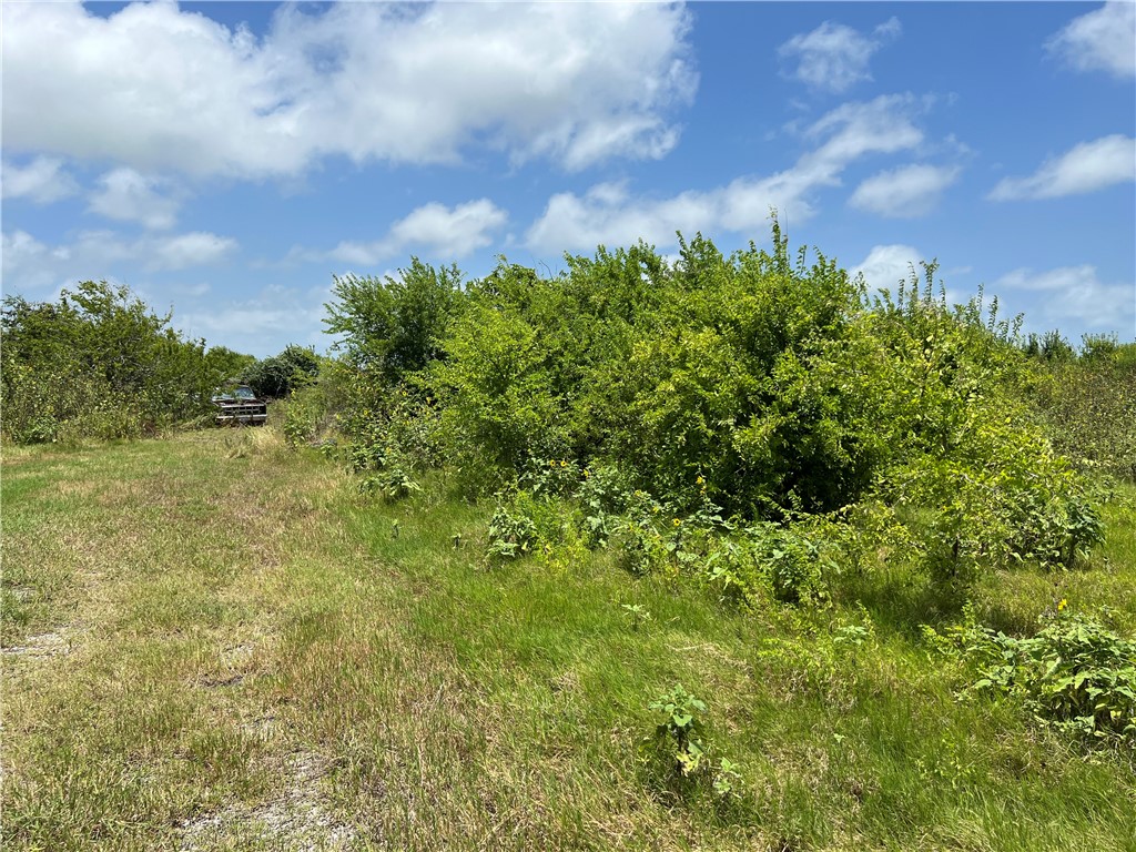 0 Lot 13 Mccullough (tiner) Property Photo 16
