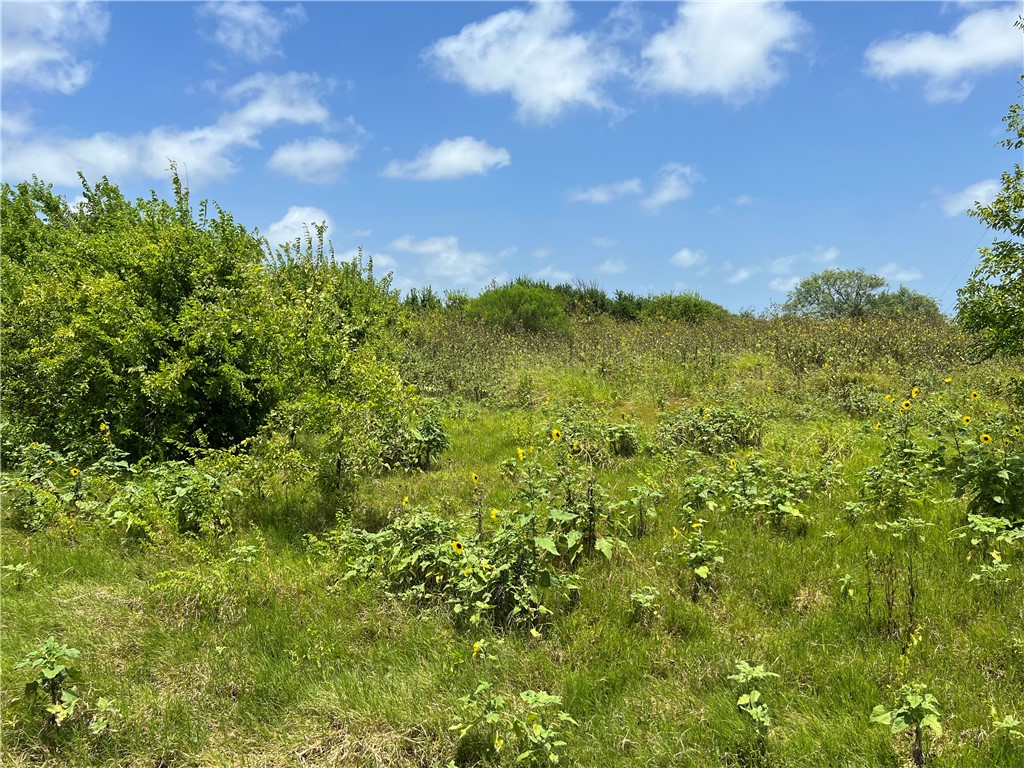 0 Lot 13 Mccullough (tiner) Property Photo 17