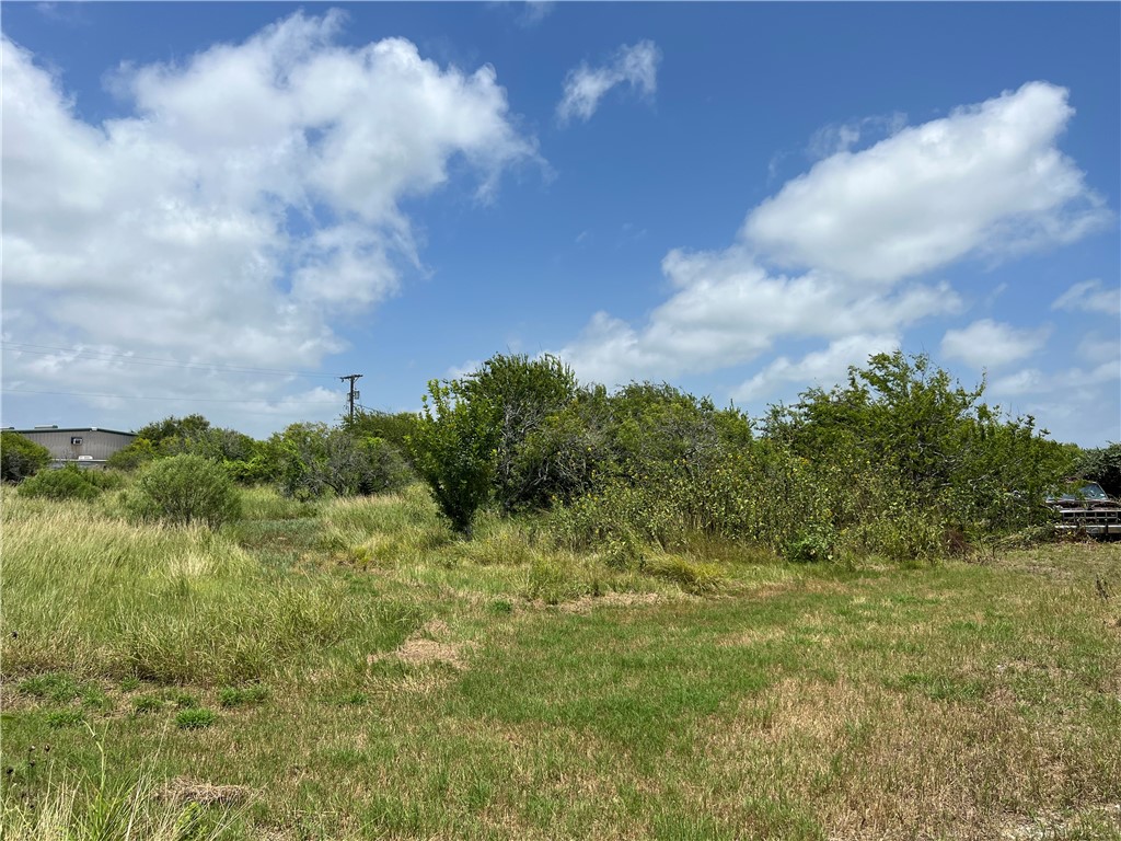 0 Lot 13 Mccullough (tiner) Property Photo 19
