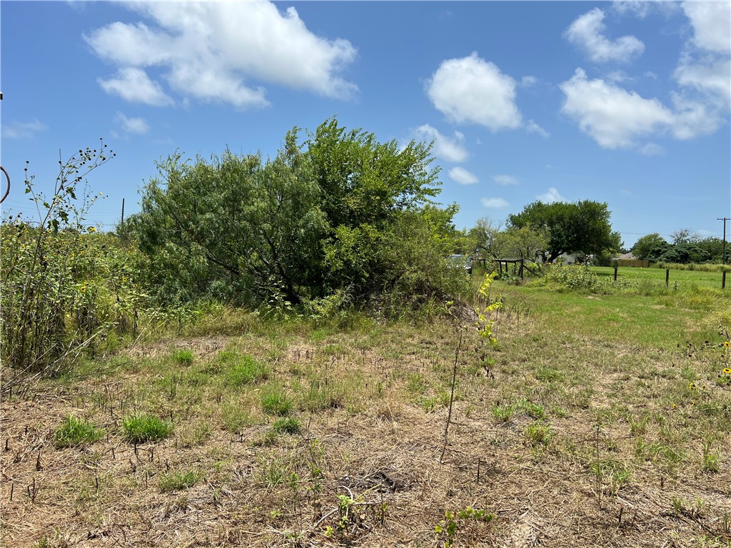 0 Lot 13 Mccullough (tiner) Property Photo 20