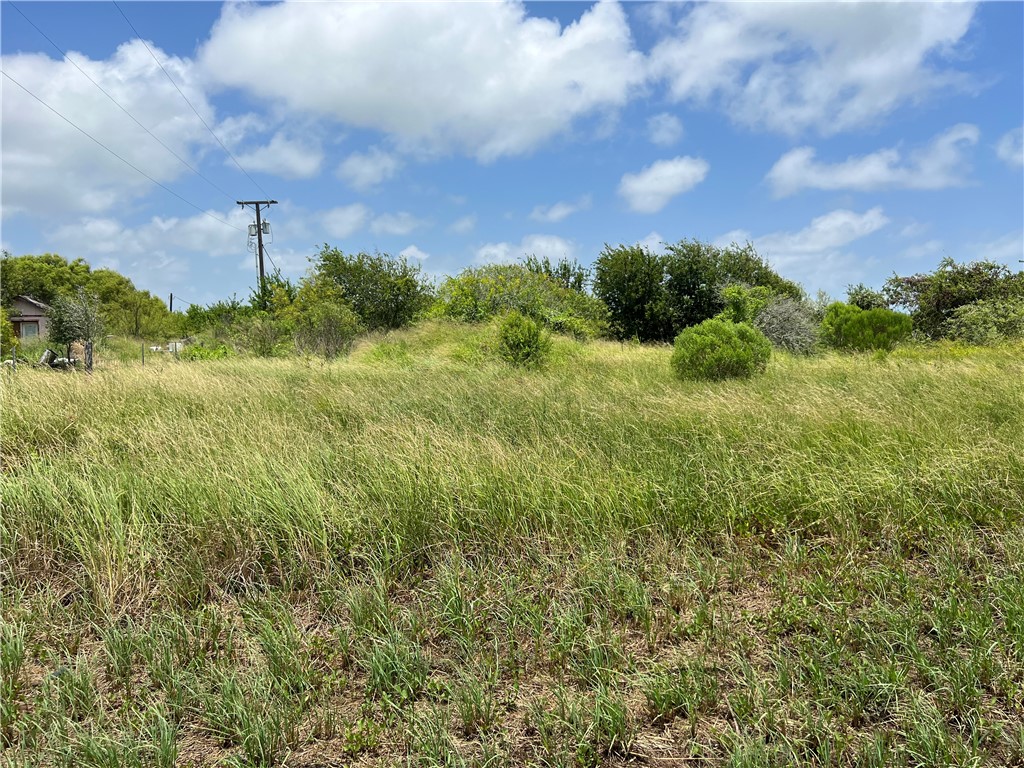 0 Lot 13 Mccullough (tiner) Property Photo 21