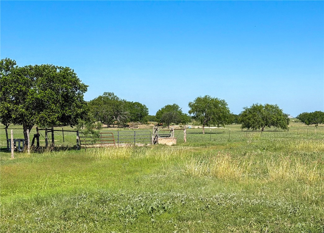 279 County Road 302 Property Photo 35