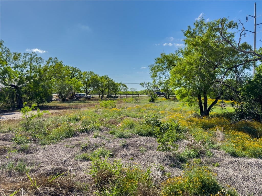 0 Highway 359 Hwy Property Photo 4