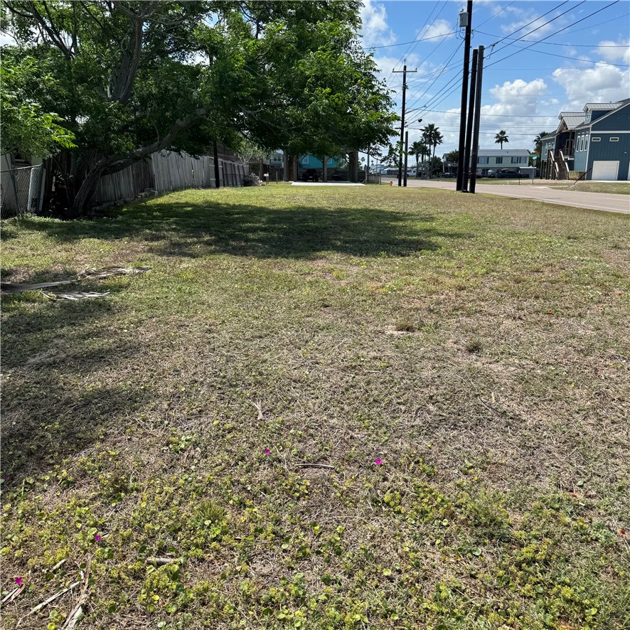 137 Buena Vista Dr Property Photo 2