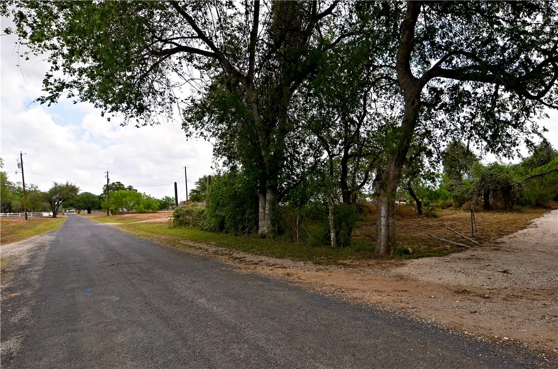 101 Alfredo Property Photo 2