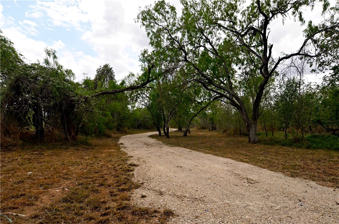 101 Alfredo Property Photo 3