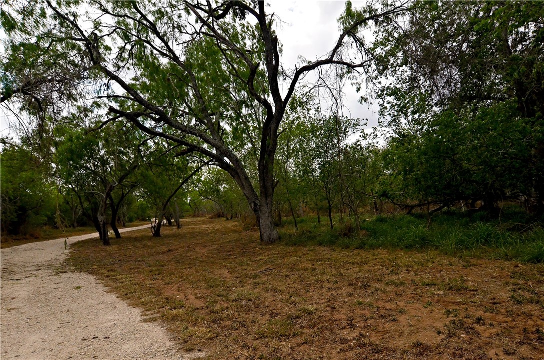 101 Alfredo Property Photo 4