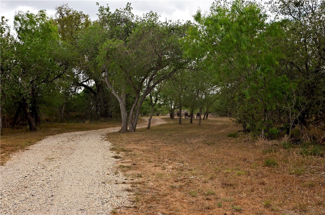101 Alfredo Property Photo 8