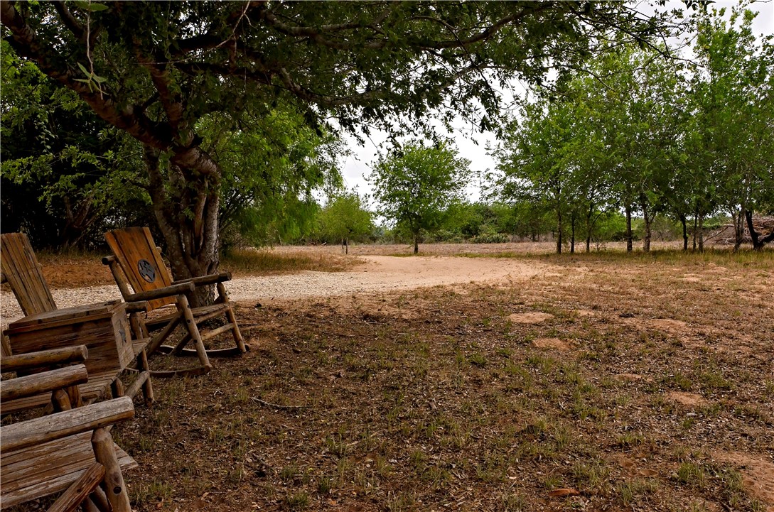 101 Alfredo Property Photo 10