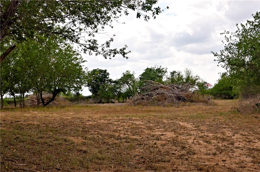101 Alfredo Property Photo 11