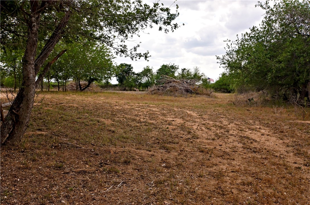 101 Alfredo Property Photo 12
