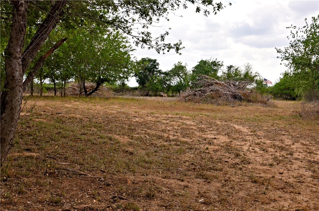 101 Alfredo Property Photo 13