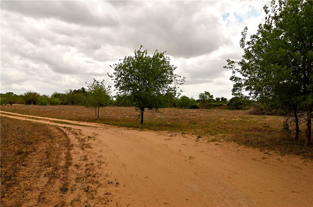 101 Alfredo Property Photo 17