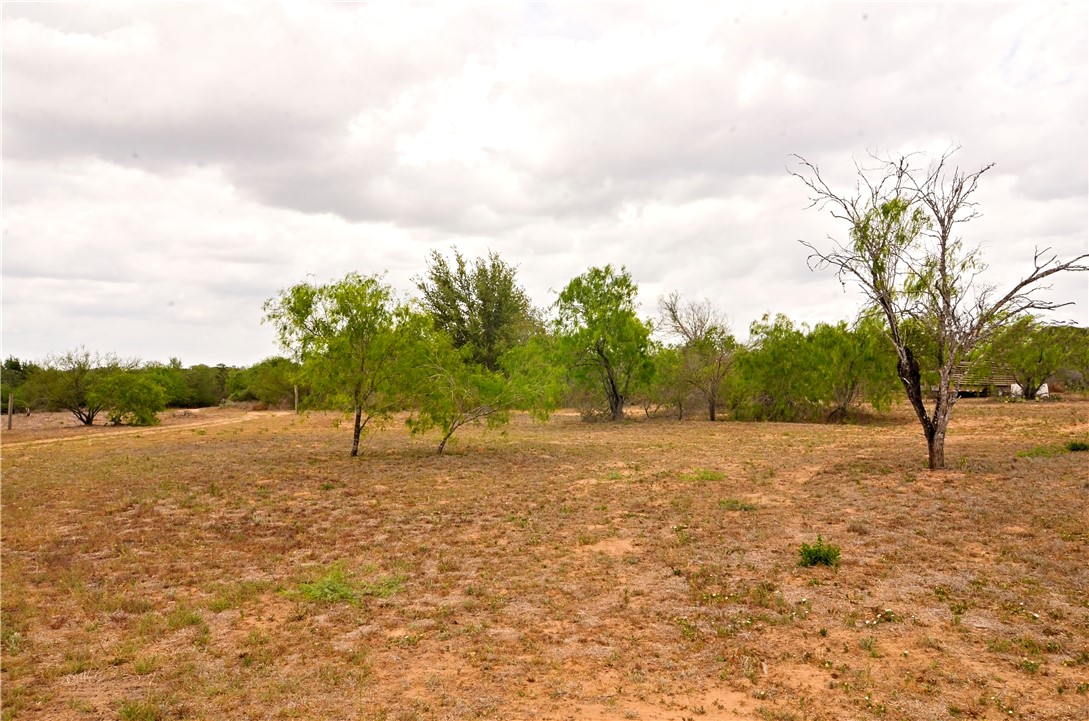 101 Alfredo Property Photo 18