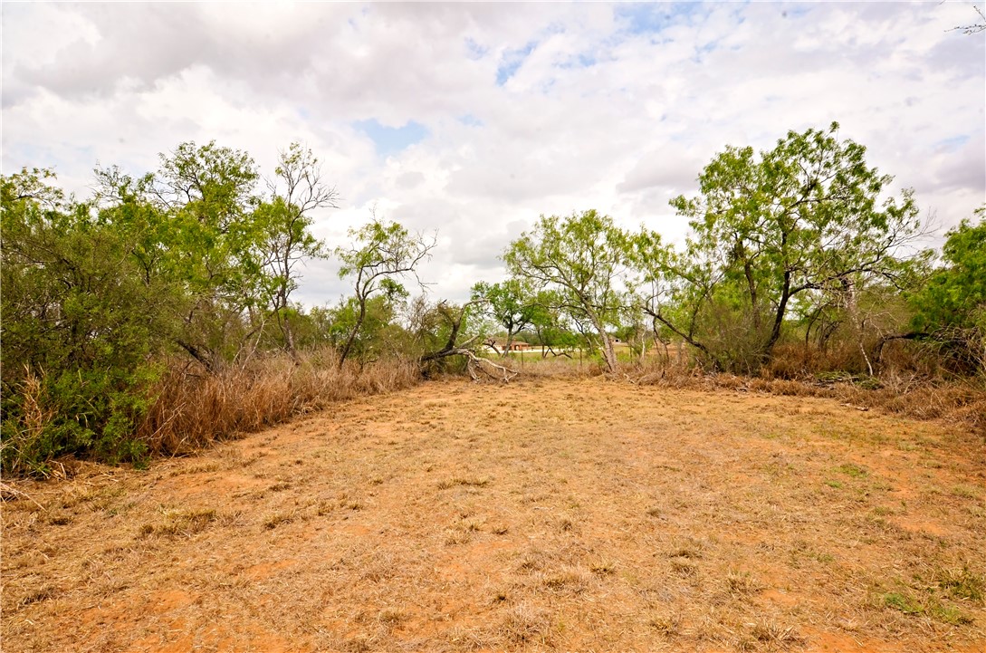 101 Alfredo Property Photo 20