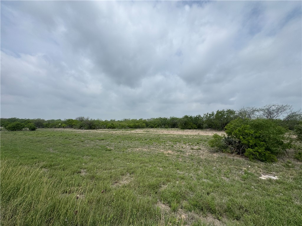 Tbd Highway 359 Property Photo 1